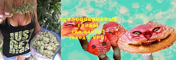 мдпв Новокубанск