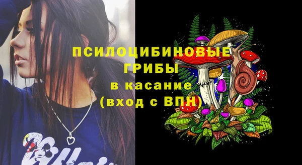 метадон Новодвинск