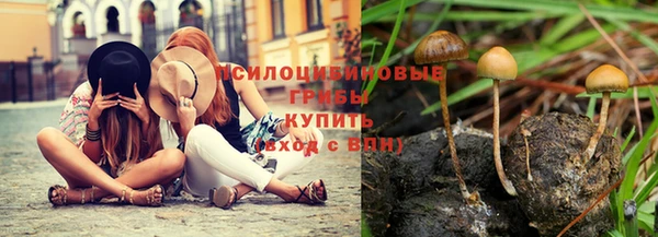 марки lsd Новозыбков