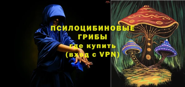 марки lsd Новозыбков